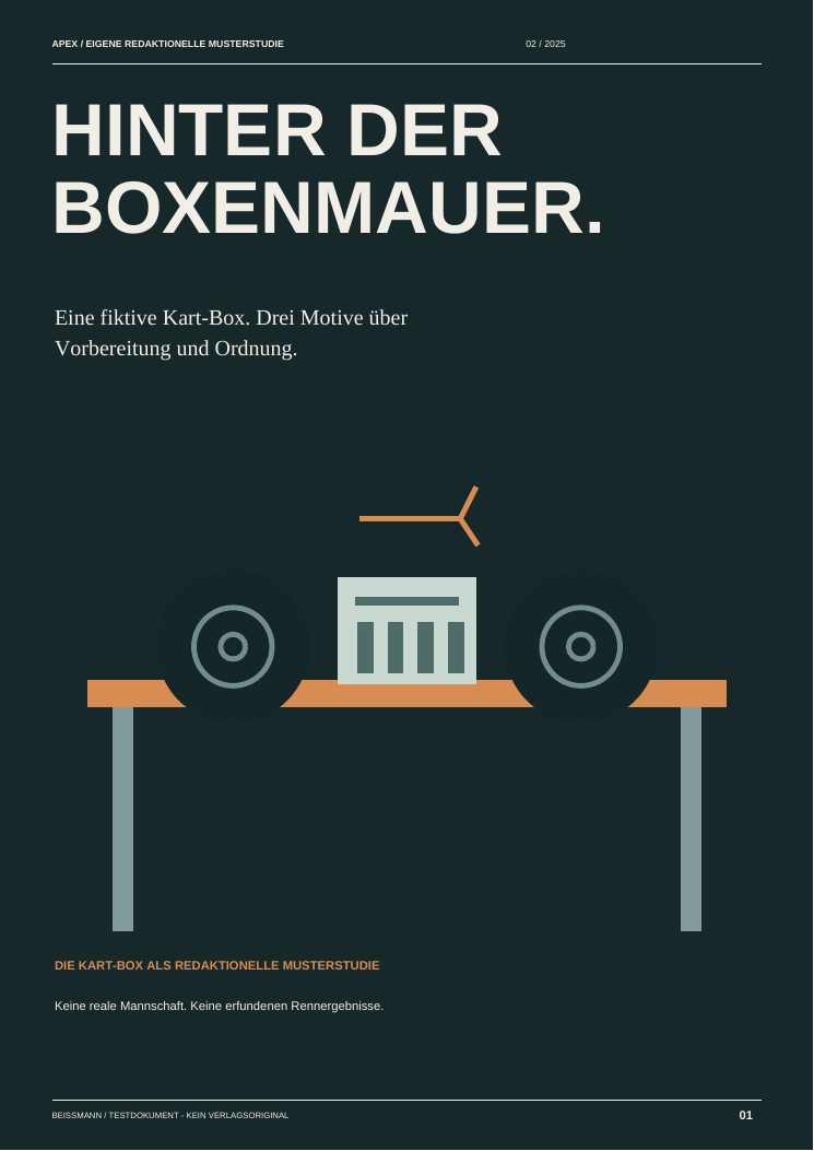 Cover der eigenen Musterstudie: Hinter der Boxenmauer